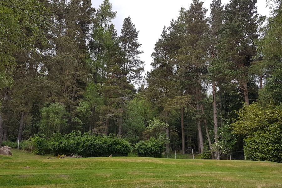 Photo of Plot at Tolcarne, Finzean, Banchory, Aberdeenshire, AB31 6NE — offers over £150,000