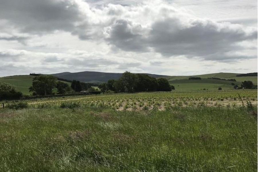 Photo of Plot at Old Leslie Insch Aberdeenshire — offers around £65,000